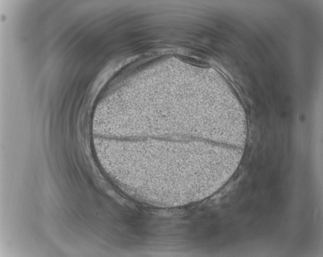 X0000086030241200704201953