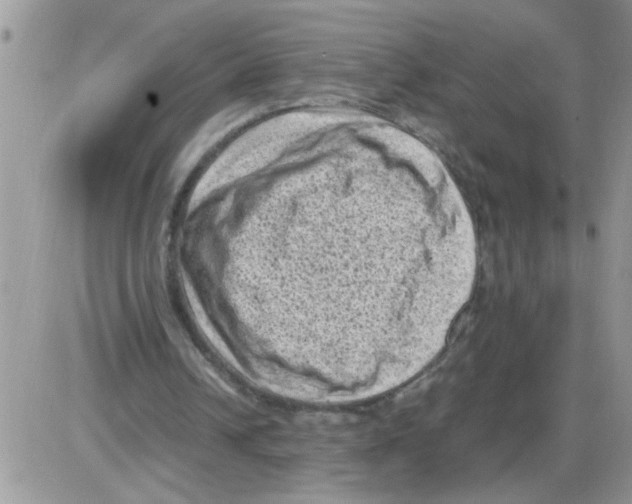 X0000086030242200704201953