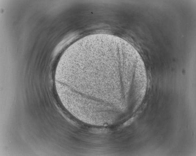 X0000086030245200704201953