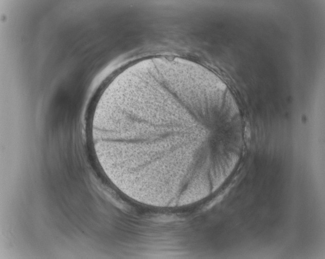 X0000086030246200704201953