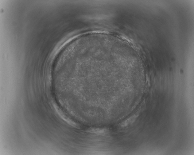 X0000086030247200704201953