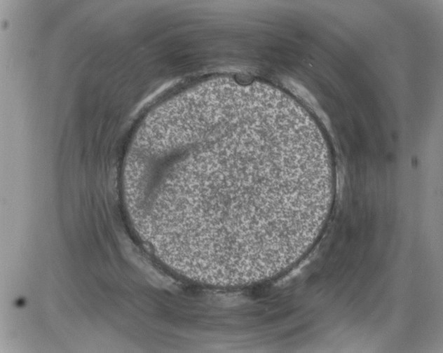 X0000086030249200704201953