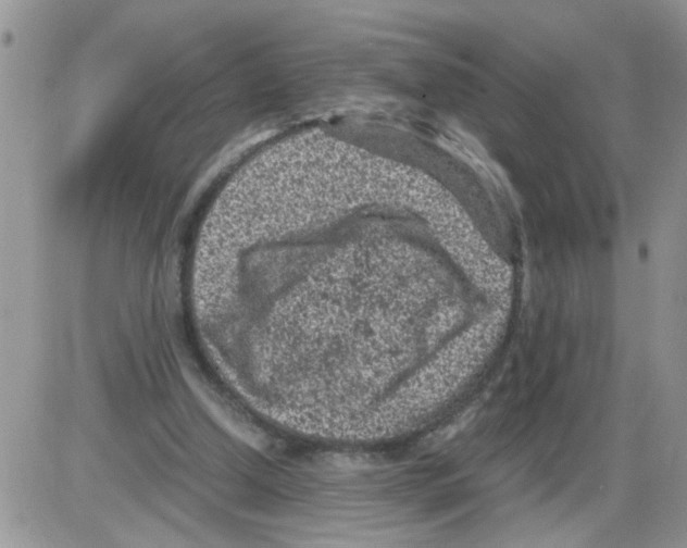 X0000086030250200704201953