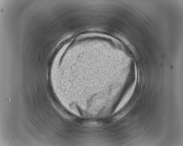 X0000086030253200704201953