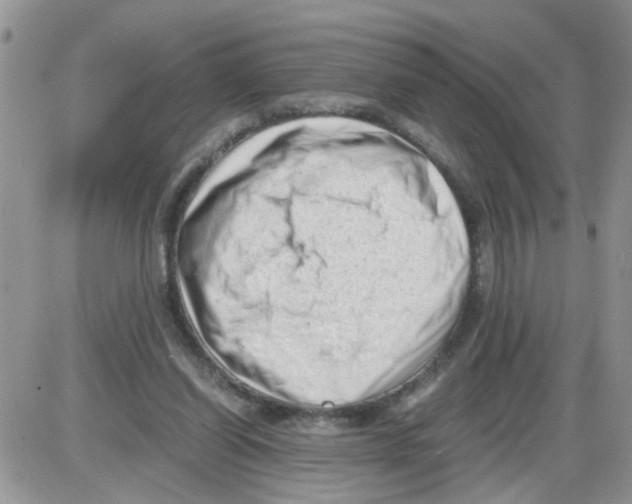 X0000086030254200704201953