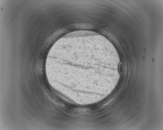 X0000086030255200704201953