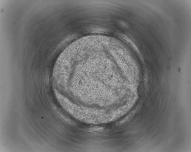 X0000086030257200704201953