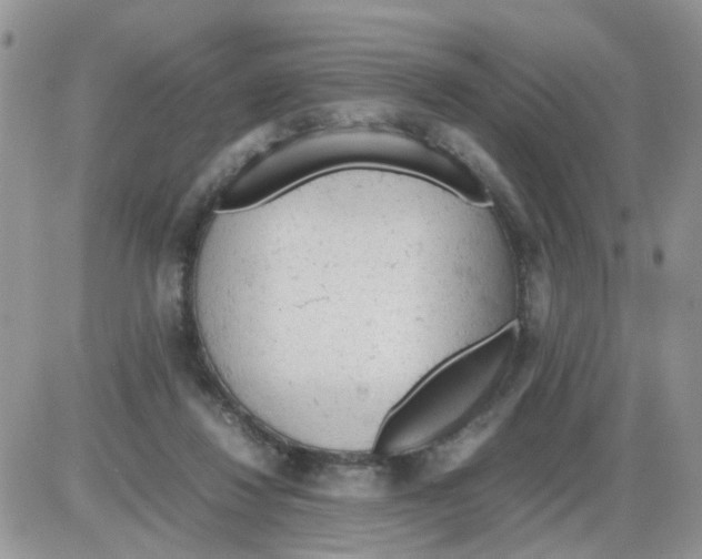 X0000086030260200704201953