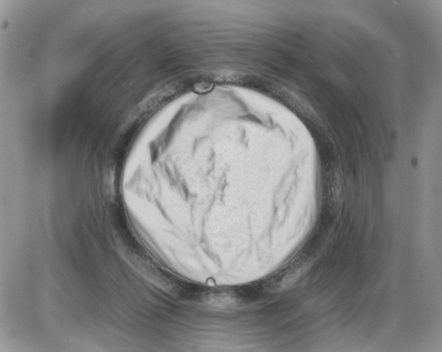 X0000086030262200704201953