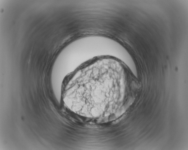 X0000086030264200704201953