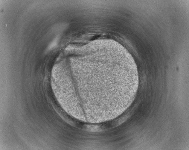 X0000086030265200704201953