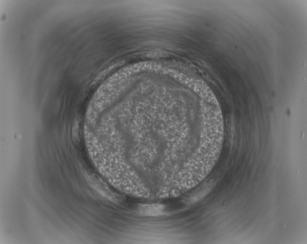 X0000086030266200704201953