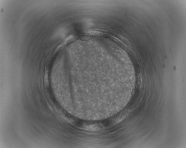 X0000086030267200704201953