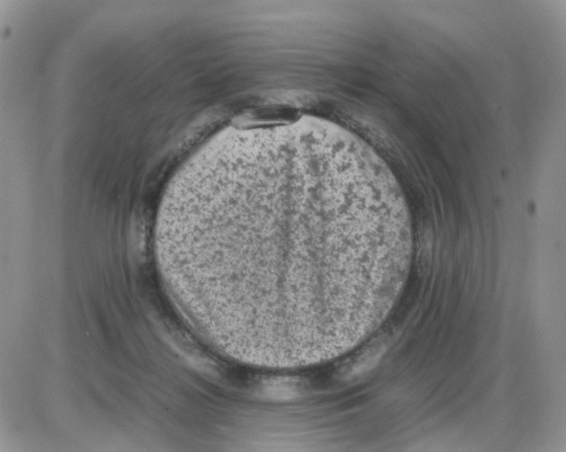 X0000086030268200704201953