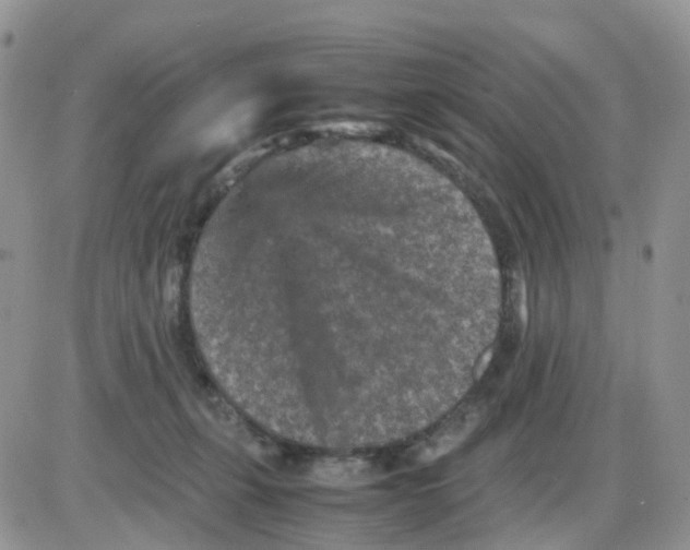 X0000086030271200704201953