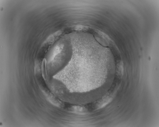 X0000086030272200704201953