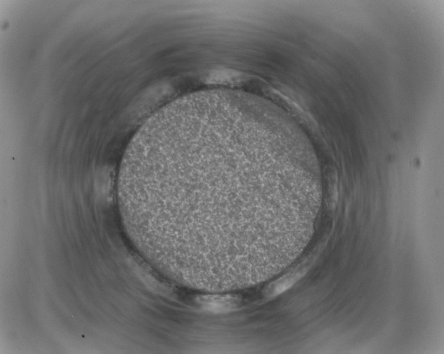 X0000086030273200704201953