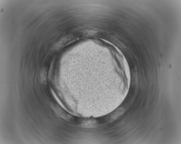 X0000086030274200704201953