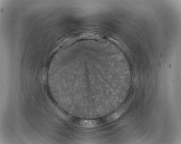 X0000086030277200704201954