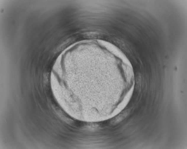 X0000086030278200704201954