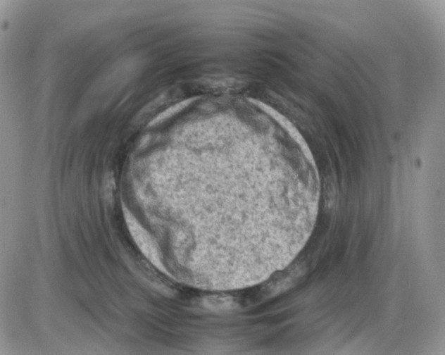 X0000086030279200704201954