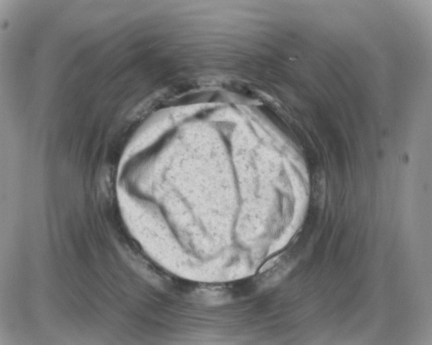 X0000086030280200704201954