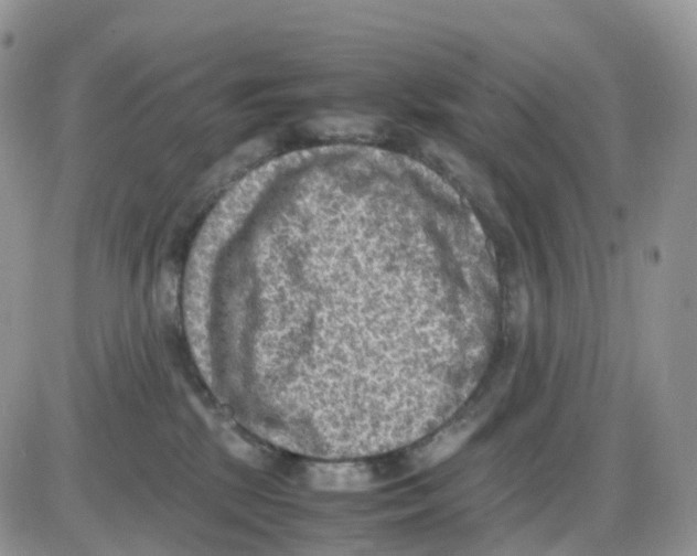 X0000086030281200704201954