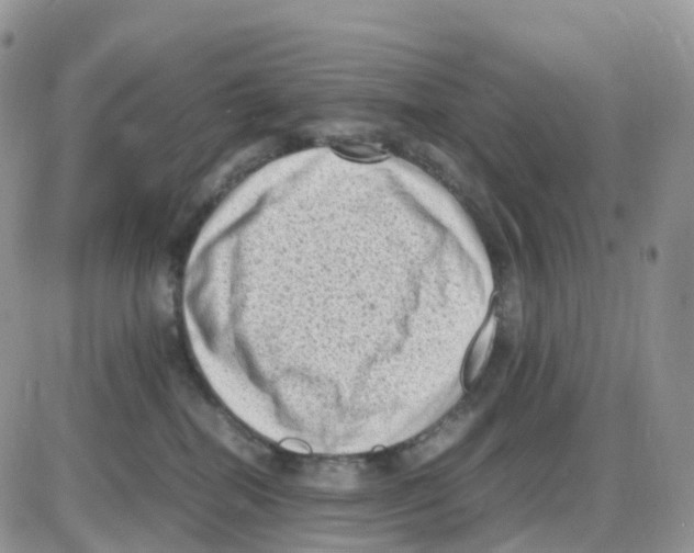 X0000086030282200704201954