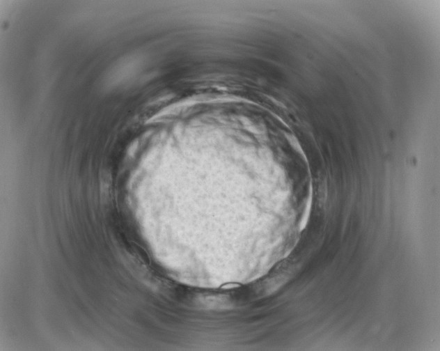 X0000086030283200704201954