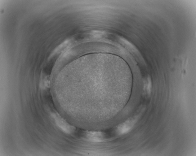 X0000086030284200704201954