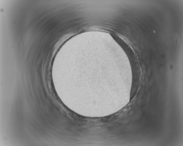 X0000086030289200704201953