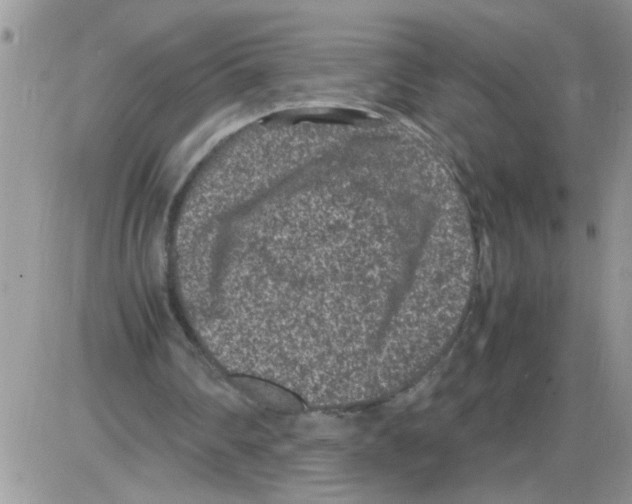 X0000086030290200704201953