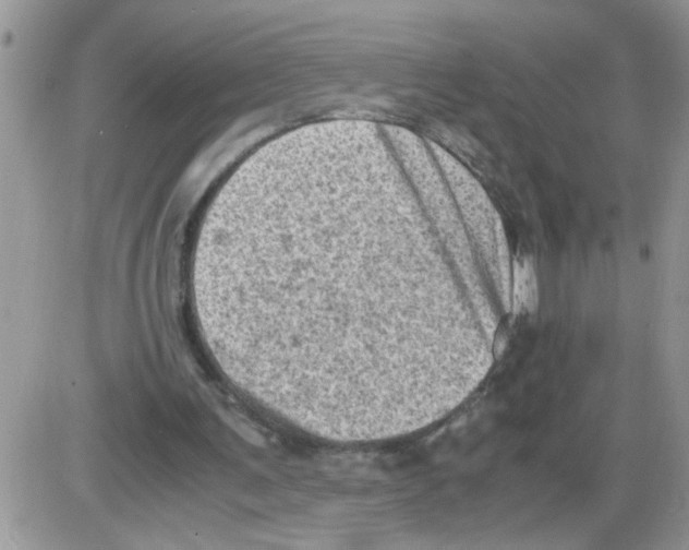 X0000086030291200704201953