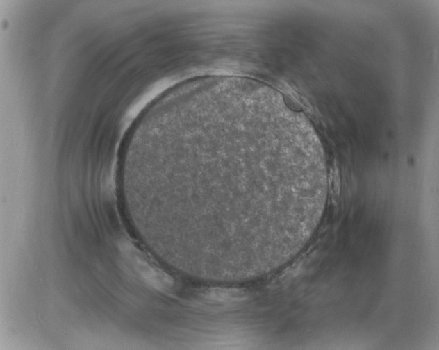 X0000086030292200704201953