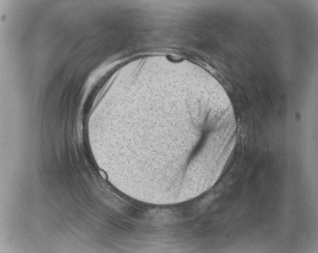 X0000086030294200704201953