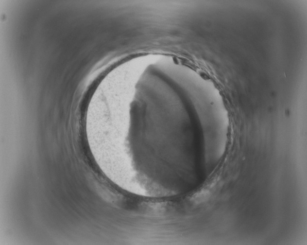 X0000086030295200704201953