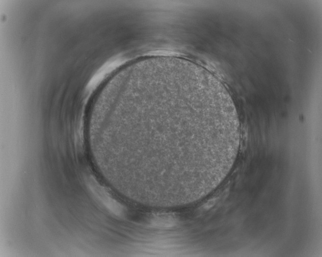 X0000086030296200704201953