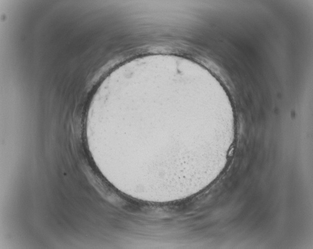 X0000086030297200704201953