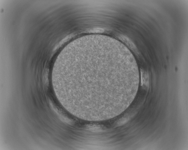 X0000086030300200704201953