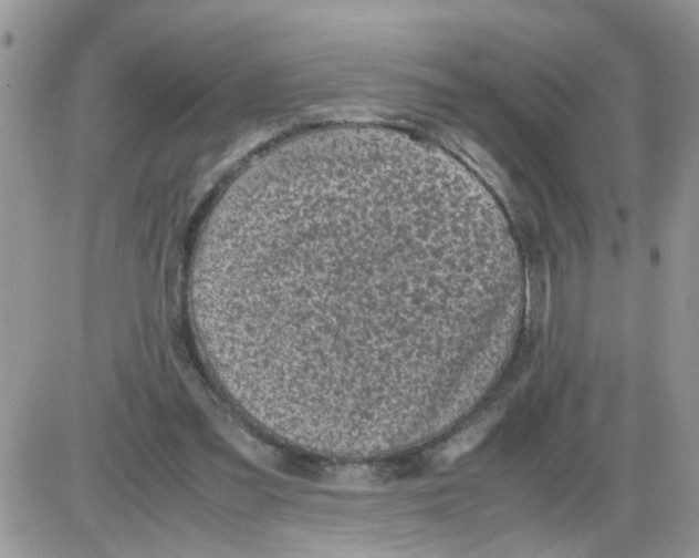 X0000086030301200704201953