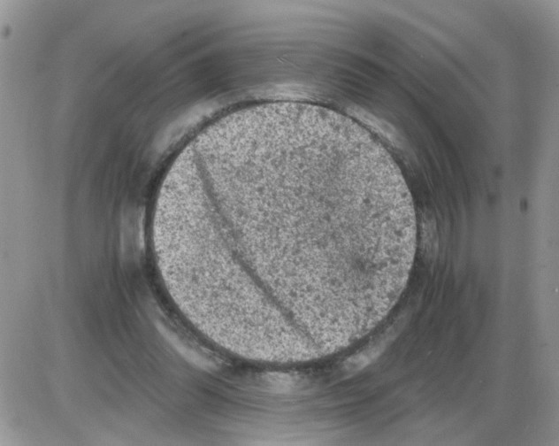 X0000086030302200704201953