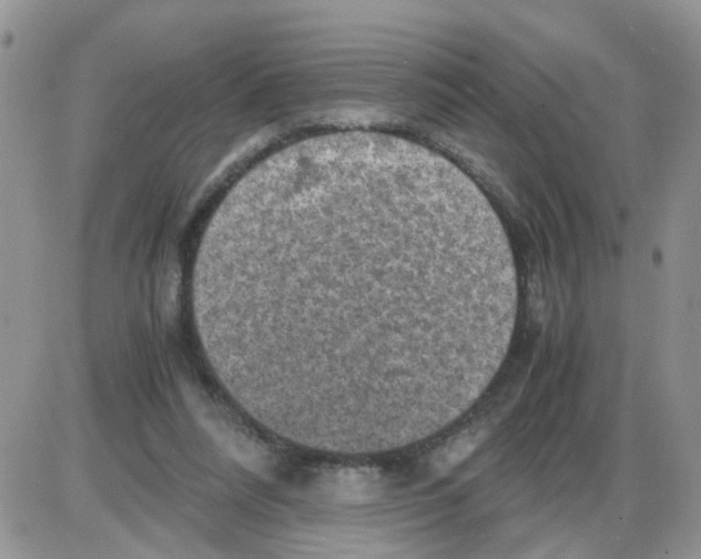 X0000086030304200704201953