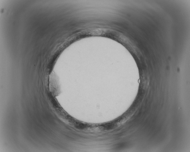 X0000086030307200704201953