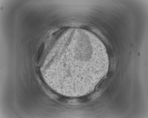 X0000086030309200704201953