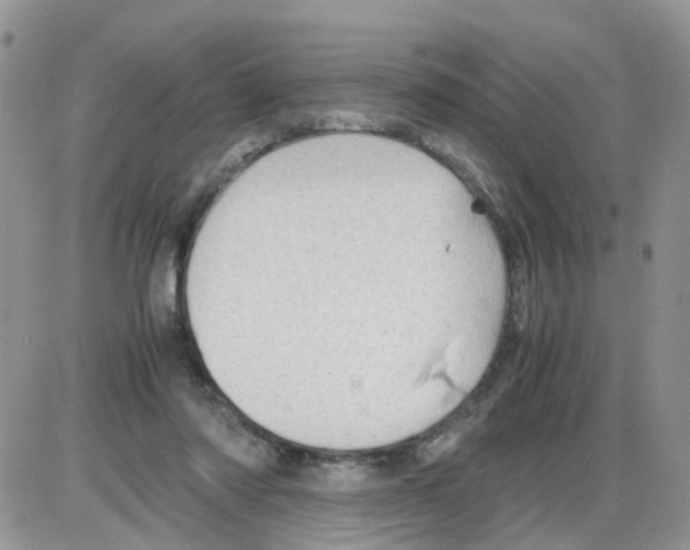 X0000086030310200704201953