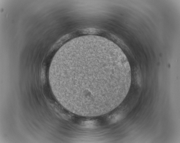 X0000086030312200704201953