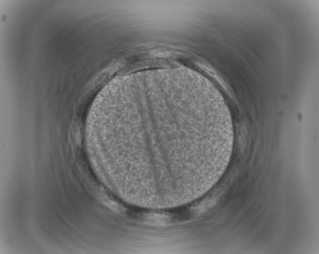 X0000086030313200704201953