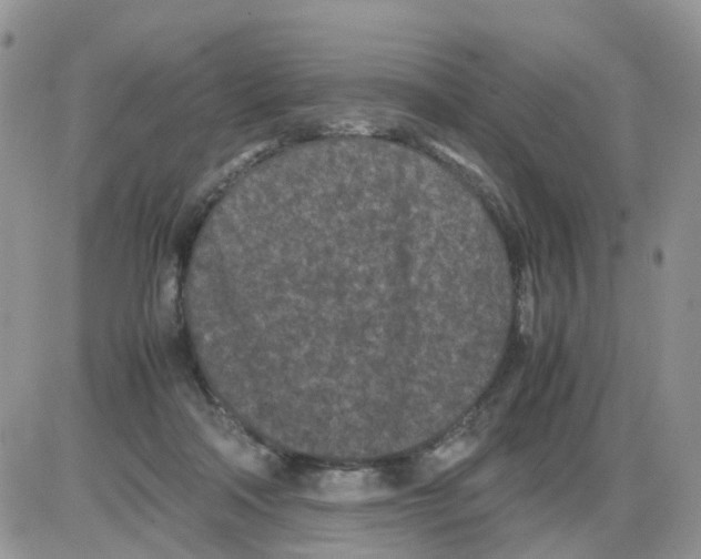 X0000086030314200704201953