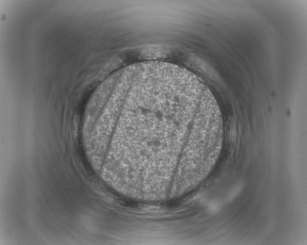 X0000086030315200704201953