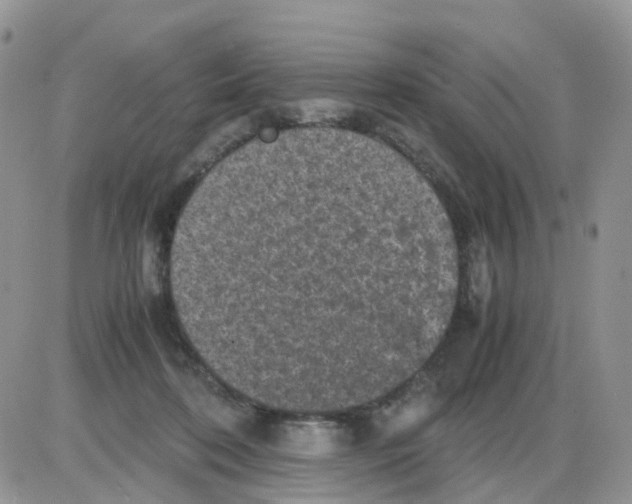 X0000086030316200704201952